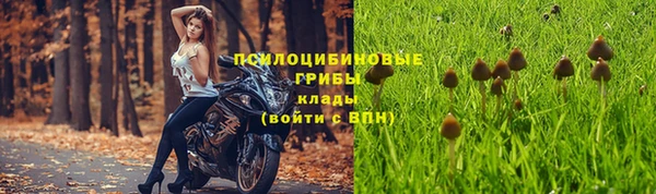 СК Алзамай